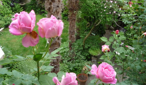 Les Tamaris jardins fleuris